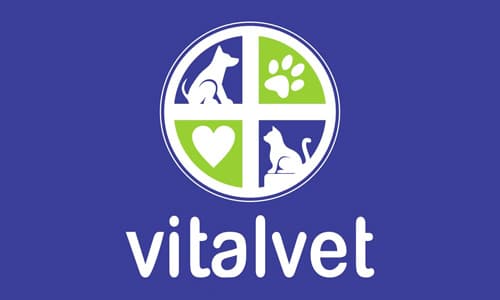 vital-500x300.jpg